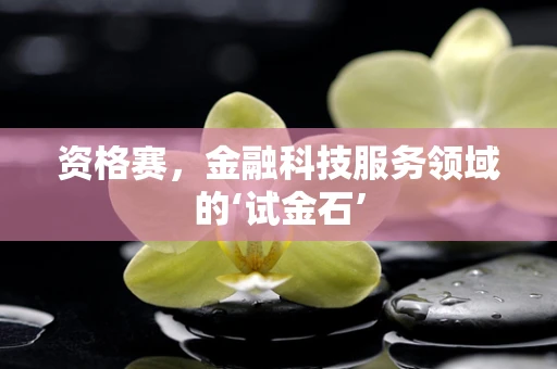 资格赛，金融科技服务领域的‘试金石’