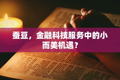 蚕豆，金融科技服务中的小而美机遇？