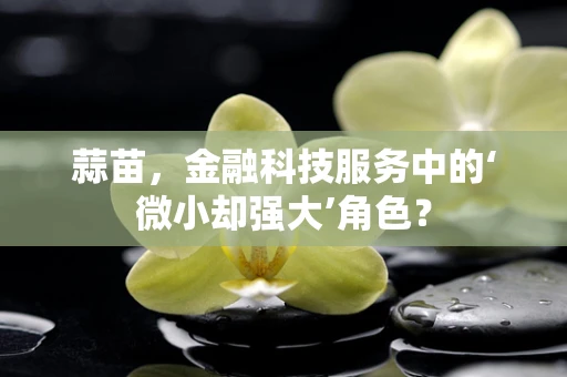 蒜苗，金融科技服务中的‘微小却强大’角色？