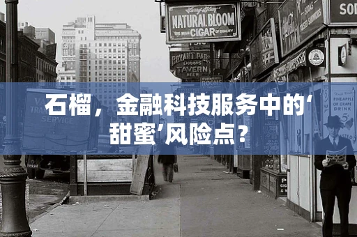 石榴，金融科技服务中的‘甜蜜’风险点？