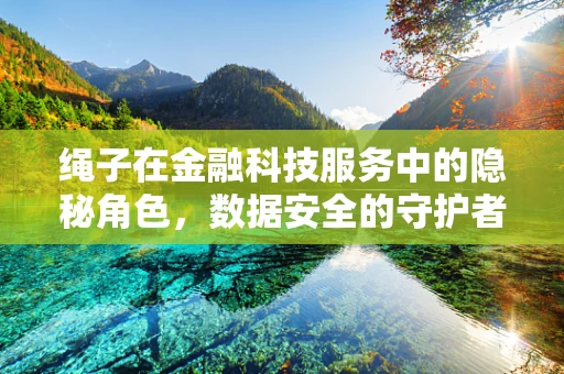 绳子在金融科技服务中的隐秘角色，数据安全的守护者？