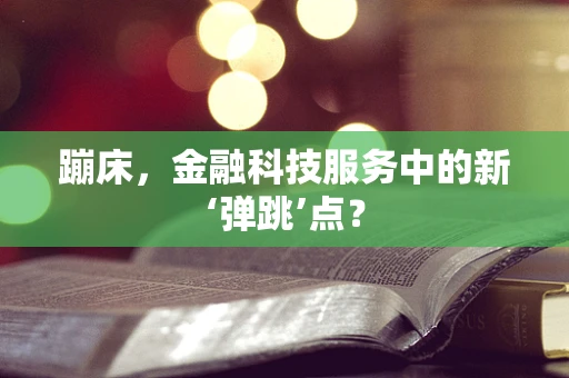 蹦床，金融科技服务中的新‘弹跳’点？