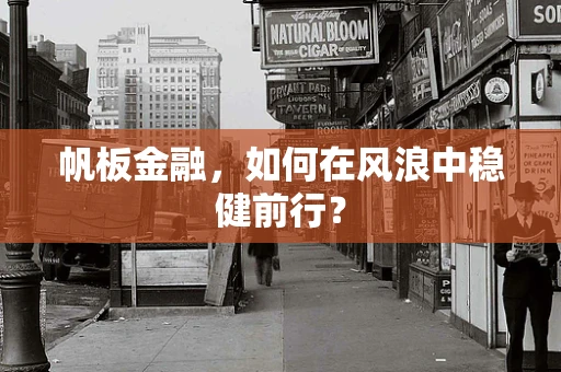 帆板金融，如何在风浪中稳健前行？