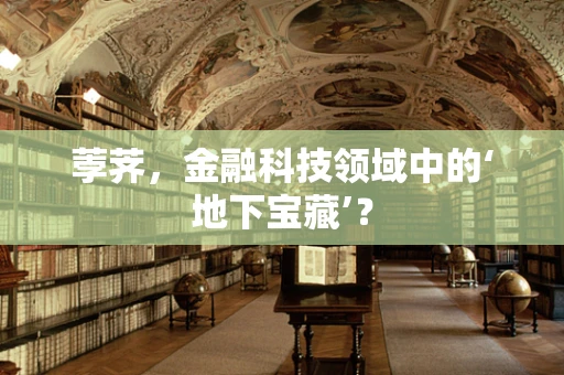 荸荠，金融科技领域中的‘地下宝藏’？
