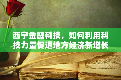 西宁金融科技，如何利用科技力量促进地方经济新增长？