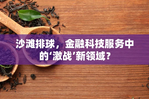 沙滩排球，金融科技服务中的‘激战’新领域？