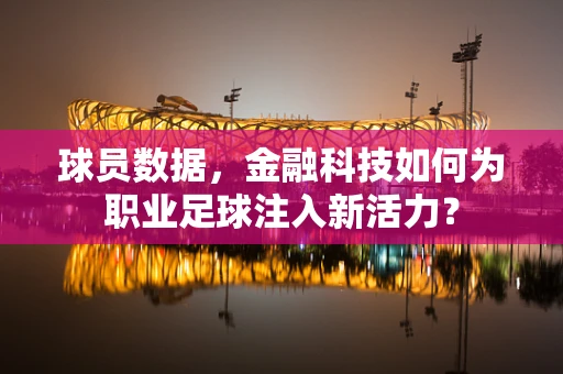球员数据，金融科技如何为职业足球注入新活力？