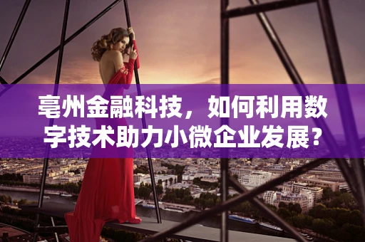 亳州金融科技，如何利用数字技术助力小微企业发展？
