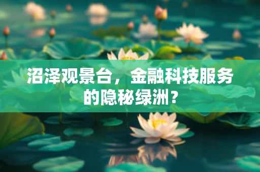 沼泽观景台，金融科技服务的隐秘绿洲？