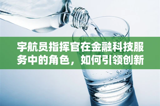 宇航员指挥官在金融科技服务中的角色，如何引领创新与风险管理？