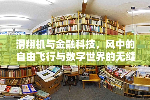 滑翔机与金融科技，风中的自由飞行与数字世界的无缝对接