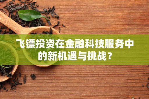 飞镖投资在金融科技服务中的新机遇与挑战？