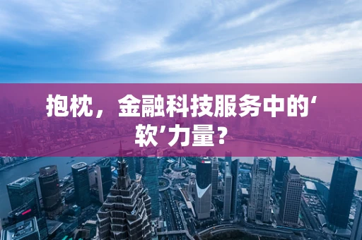 抱枕，金融科技服务中的‘软’力量？