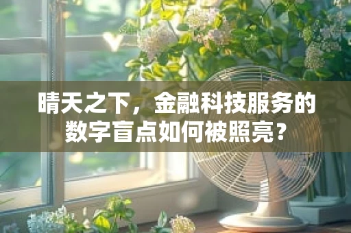 晴天之下，金融科技服务的数字盲点如何被照亮？