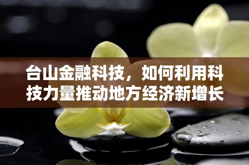 台山金融科技，如何利用科技力量推动地方经济新增长？