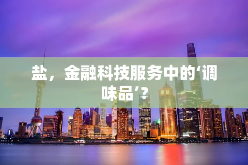 盐，金融科技服务中的‘调味品’？
