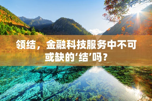领结，金融科技服务中不可或缺的‘结’吗？