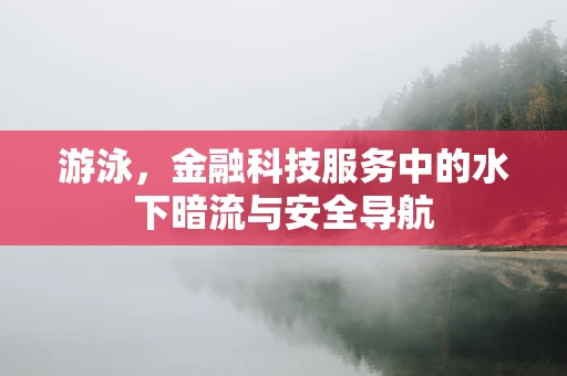 游泳，金融科技服务中的水下暗流与安全导航