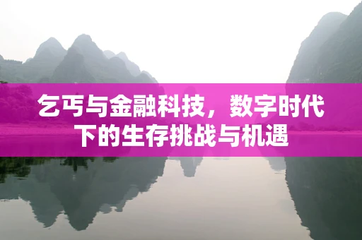 乞丐与金融科技，数字时代下的生存挑战与机遇