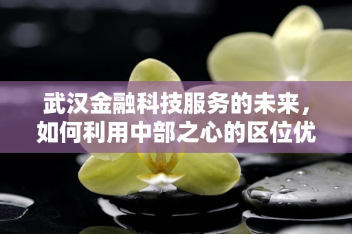 武汉金融科技服务的未来，如何利用中部之心的区位优势？