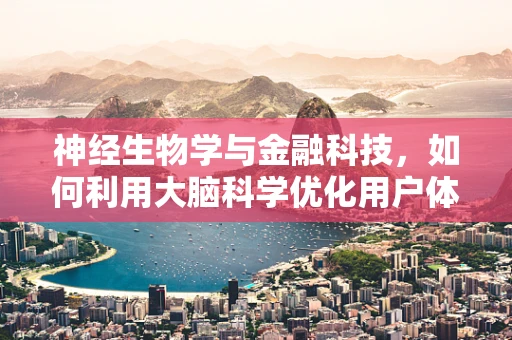 神经生物学与金融科技，如何利用大脑科学优化用户体验？