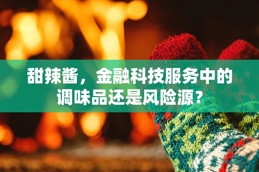甜辣酱，金融科技服务中的调味品还是风险源？