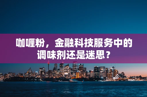 咖喱粉，金融科技服务中的调味剂还是迷思？