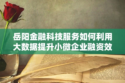 岳阳金融科技服务如何利用大数据提升小微企业融资效率？