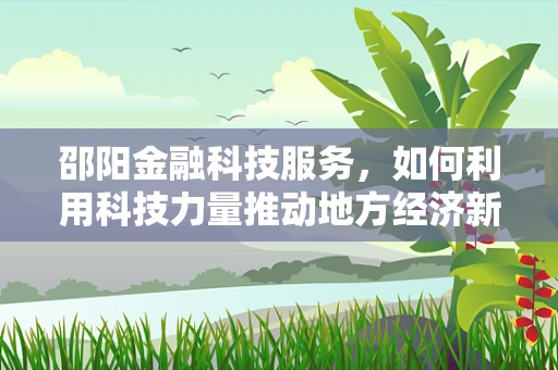 邵阳金融科技服务，如何利用科技力量推动地方经济新发展？