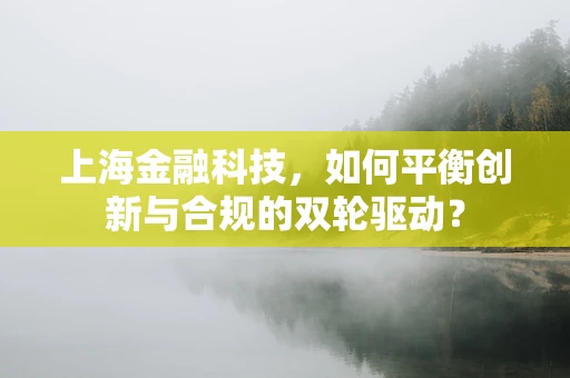 上海金融科技，如何平衡创新与合规的双轮驱动？