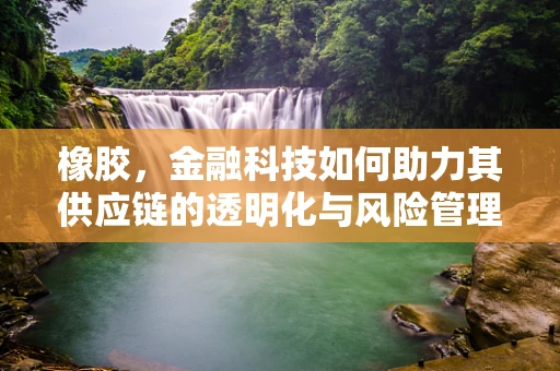 橡胶，金融科技如何助力其供应链的透明化与风险管理？