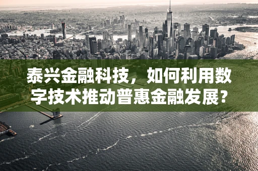 泰兴金融科技，如何利用数字技术推动普惠金融发展？