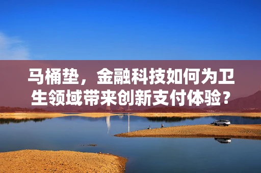 马桶垫，金融科技如何为卫生领域带来创新支付体验？