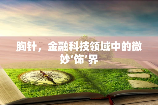 胸针，金融科技领域中的微妙‘饰’界