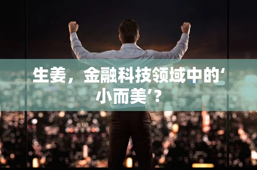 生姜，金融科技领域中的‘小而美’？