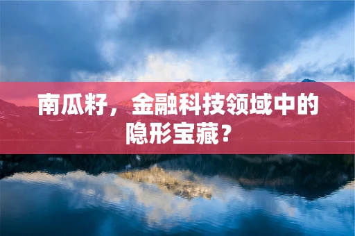 南瓜籽，金融科技领域中的隐形宝藏？