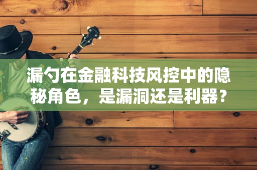 漏勺在金融科技风控中的隐秘角色，是漏洞还是利器？