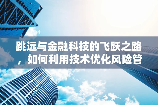 跳远与金融科技的飞跃之路，如何利用技术优化风险管理？
