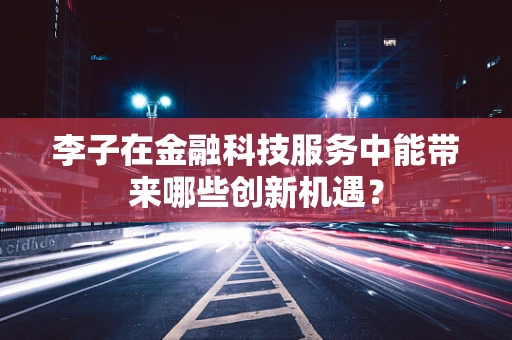 李子在金融科技服务中能带来哪些创新机遇？