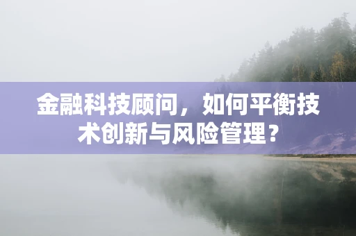 金融科技顾问，如何平衡技术创新与风险管理？