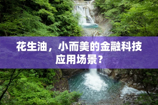 花生油，小而美的金融科技应用场景？