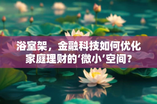 浴室架，金融科技如何优化家庭理财的‘微小’空间？