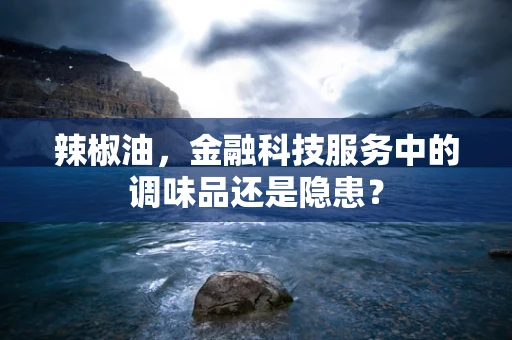 辣椒油，金融科技服务中的调味品还是隐患？