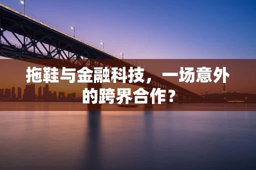 拖鞋与金融科技，一场意外的跨界合作？