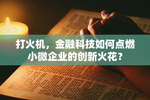 打火机，金融科技如何点燃小微企业的创新火花？
