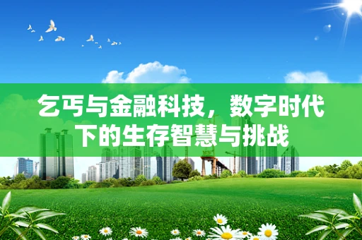 乞丐与金融科技，数字时代下的生存智慧与挑战