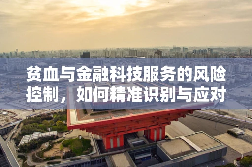 贫血与金融科技服务的风险控制，如何精准识别与应对？