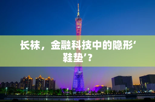 长袜，金融科技中的隐形‘鞋垫’？
