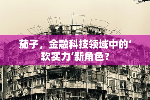 茄子，金融科技领域中的‘软实力’新角色？