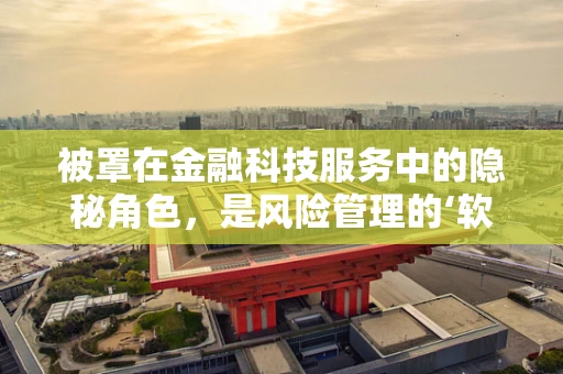 被罩在金融科技服务中的隐秘角色，是风险管理的‘软’防护吗？